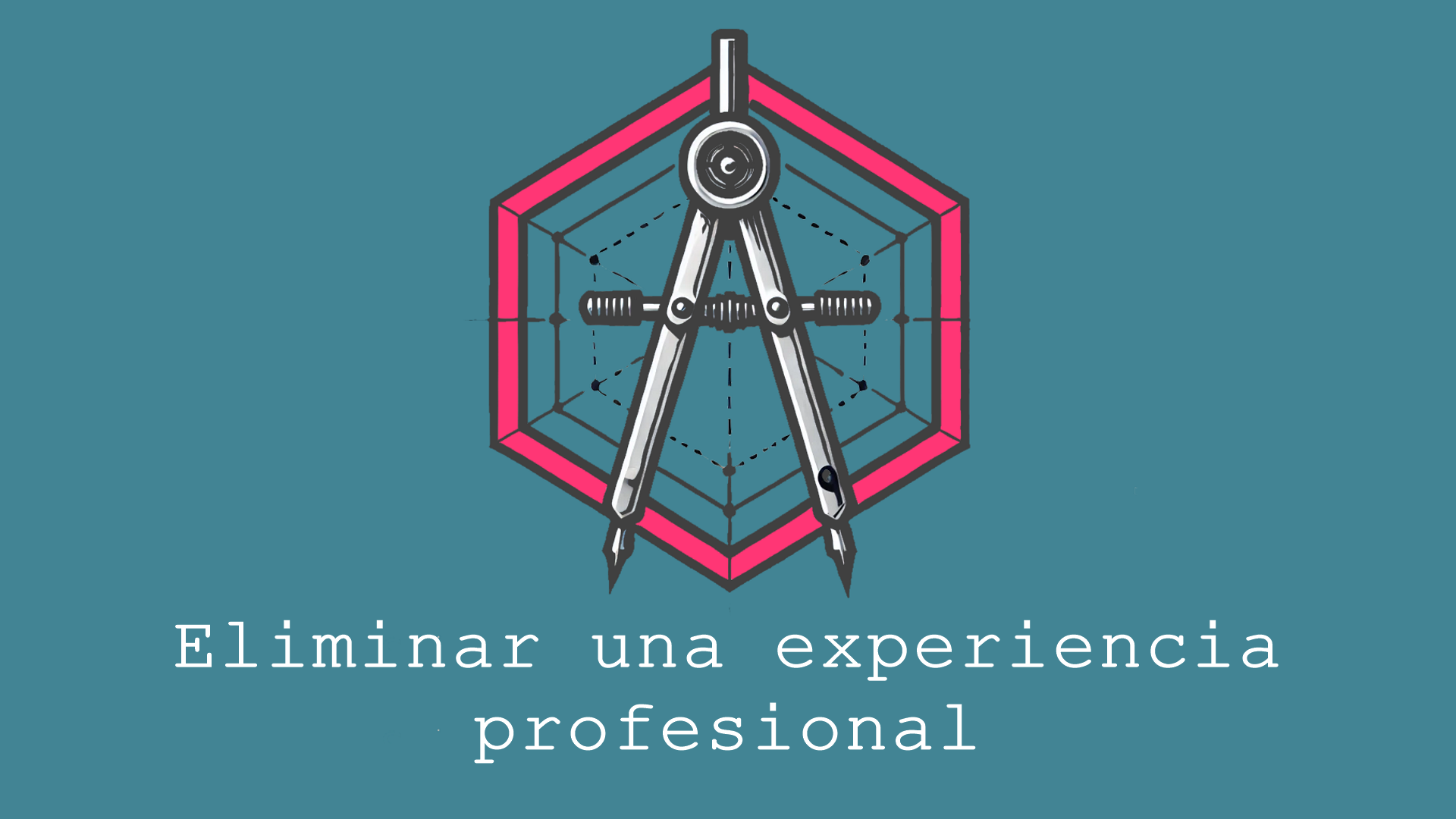 Después de importar el currículum de un candidato en el sistema, es posible eliminar una de sus experiencias profesionales.