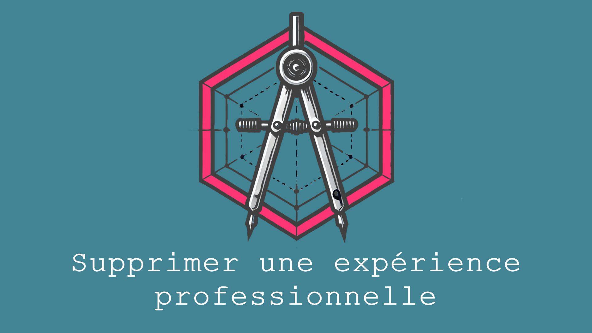Après l'importation du curriculum vitae d'un candidat dans le système, il est possible de supprimer l'une de ses expériences professionnelles.